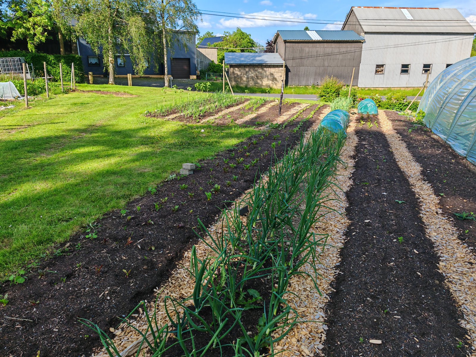 Frisch geerntetes Gemüse aus dem Garten – jede Woche neu in der Eifel